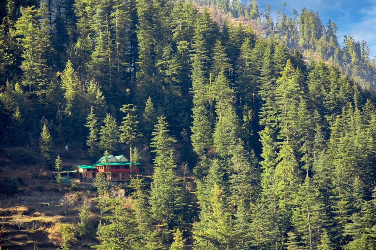 Freebird Nest Jibhi Hotel Eksteriør billede