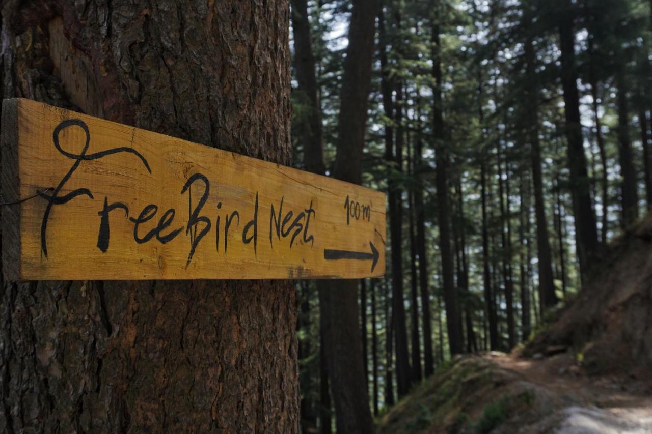 Freebird Nest Jibhi Hotel Eksteriør billede